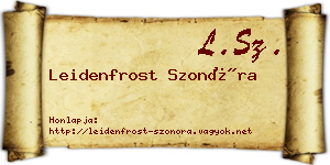 Leidenfrost Szonóra névjegykártya